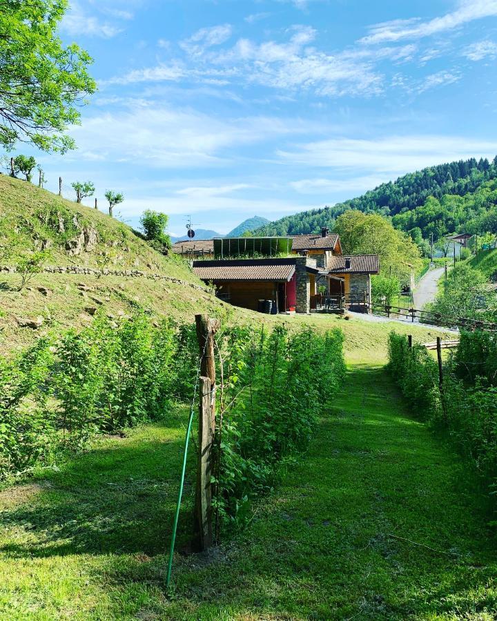 Agriturismo Il Talento Nella Quiete Кастильоне-д'Интельви Экстерьер фото