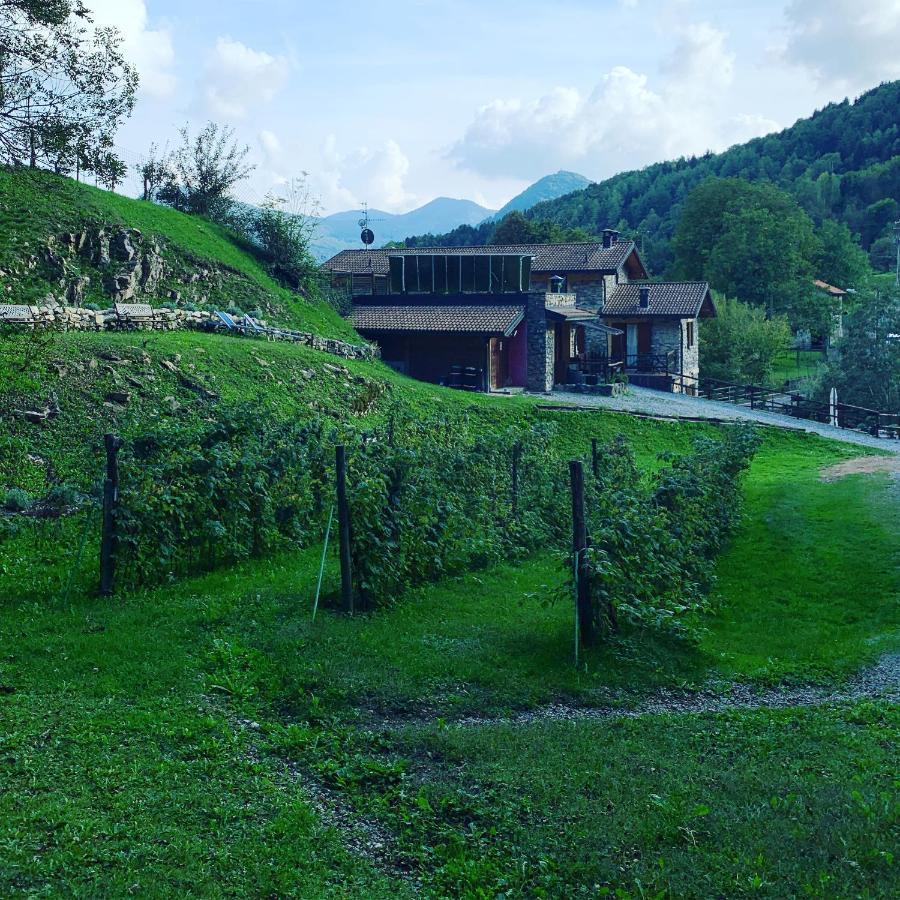 Agriturismo Il Talento Nella Quiete Кастильоне-д'Интельви Экстерьер фото