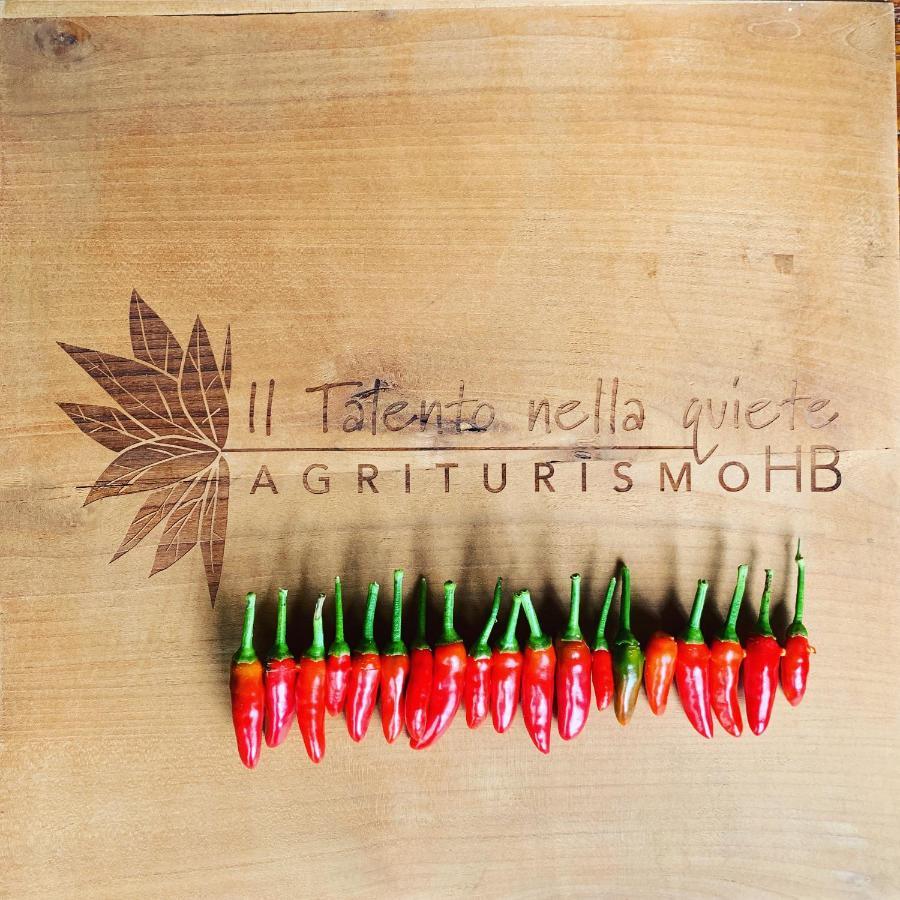 Agriturismo Il Talento Nella Quiete Кастильоне-д'Интельви Экстерьер фото