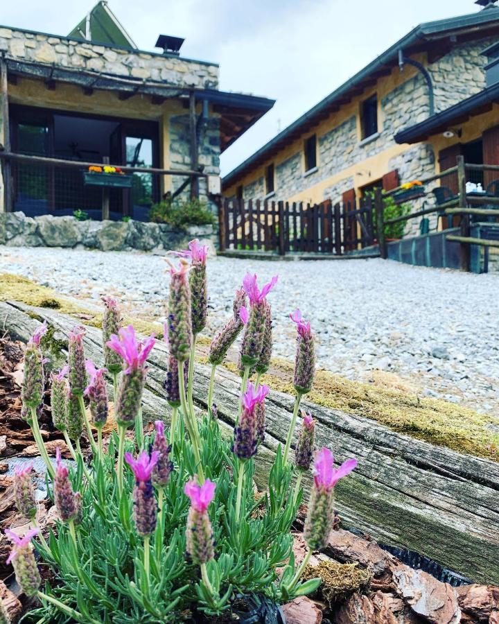 Agriturismo Il Talento Nella Quiete Кастильоне-д'Интельви Экстерьер фото