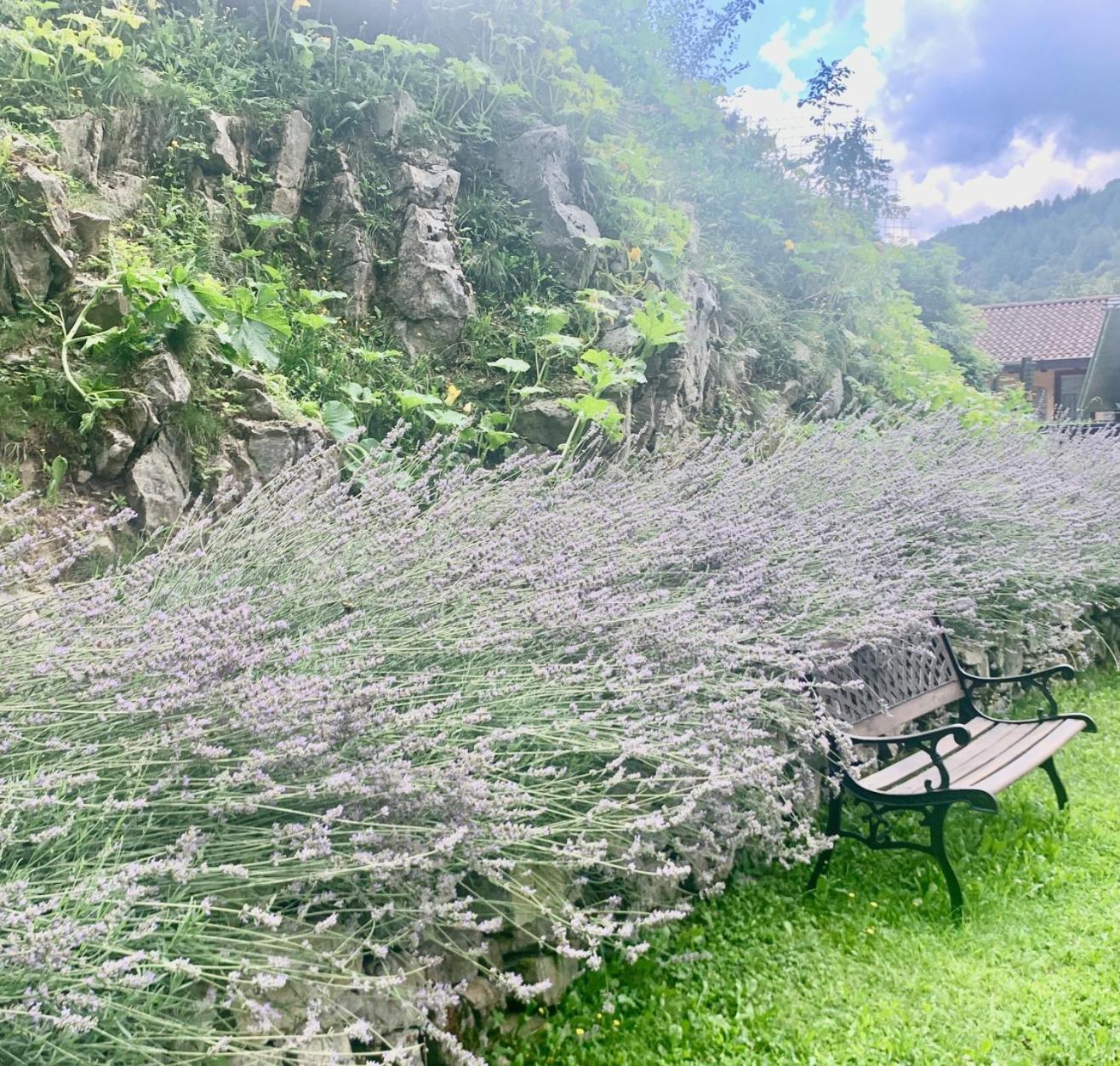 Agriturismo Il Talento Nella Quiete Кастильоне-д'Интельви Экстерьер фото