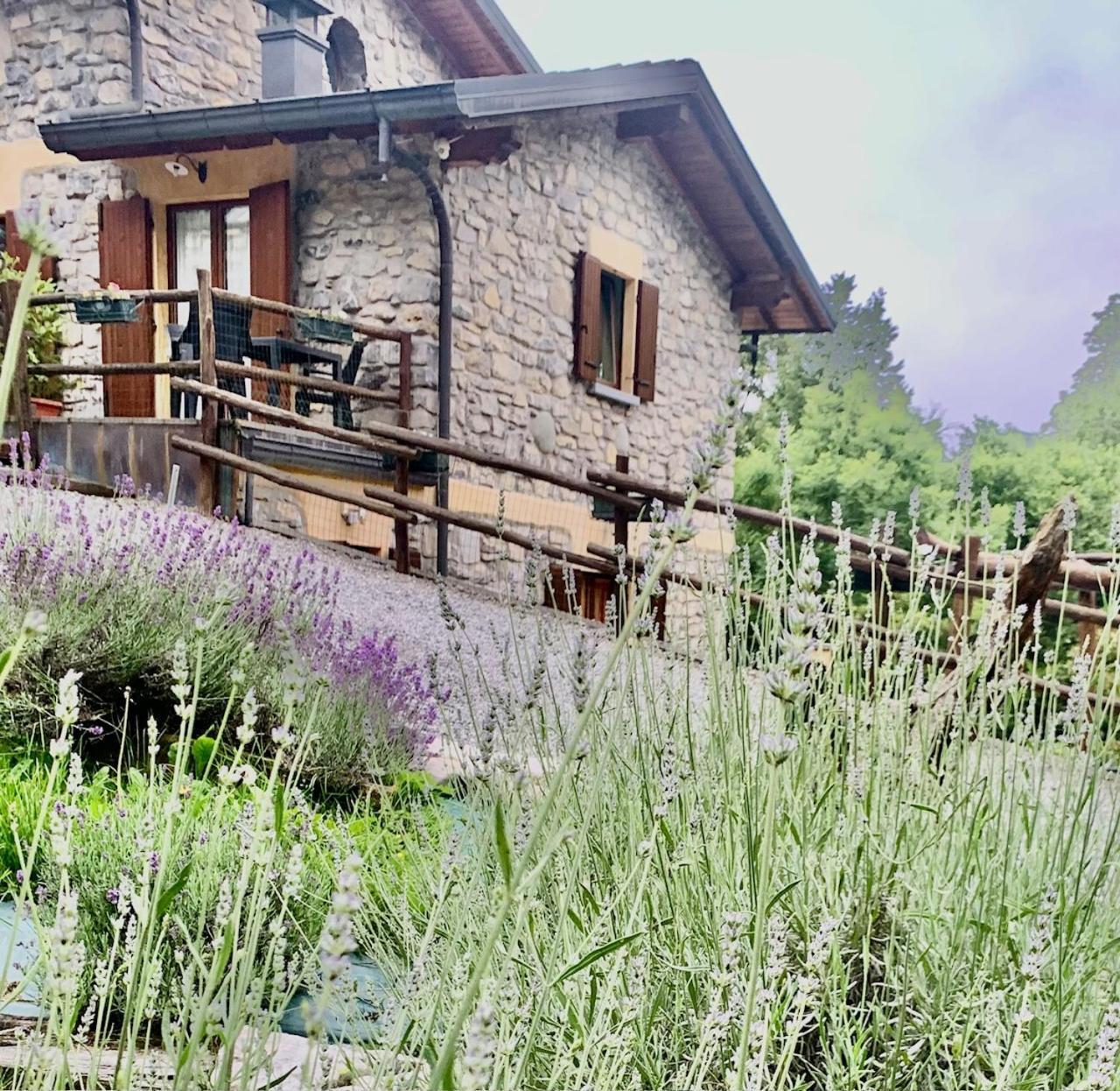 Agriturismo Il Talento Nella Quiete Кастильоне-д'Интельви Экстерьер фото