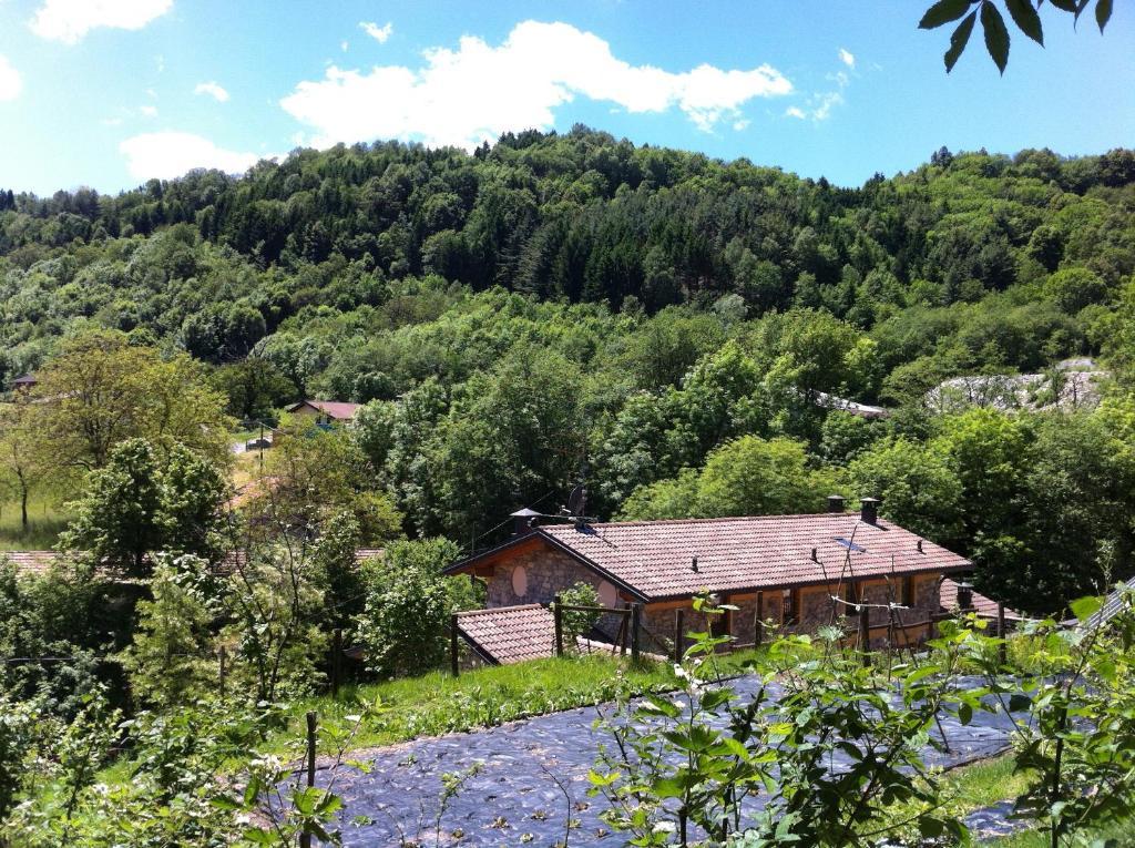 Agriturismo Il Talento Nella Quiete Кастильоне-д'Интельви Экстерьер фото